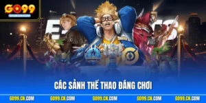 Các Sảnh Thể Thao Đáng Chơi